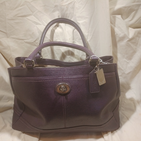 Park Satchel, Apple